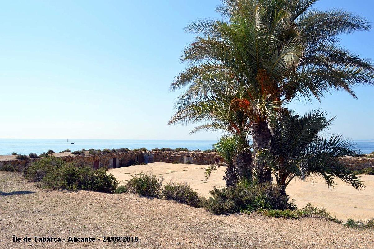 21 ALICANTE L ILE DE TABARCA (85).JPG